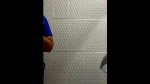 banu_ @ stripchat on 20250726