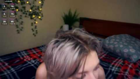 engelalman @ stripchat on 20250726