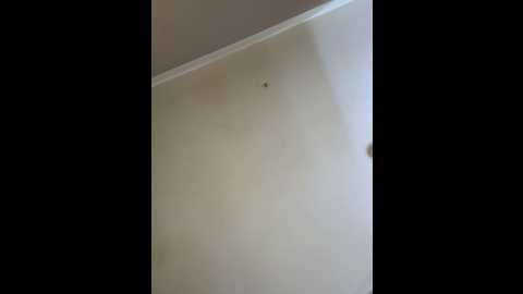 sexymelli18 @ stripchat on 20250726