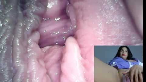 kamila_wc