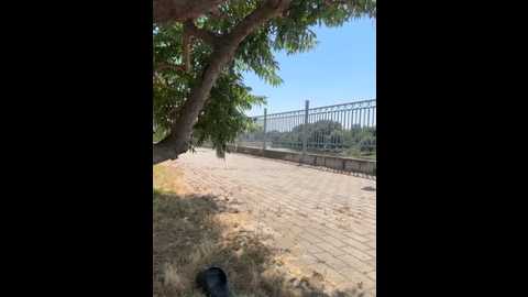 kikiwatson @ stripchat on 20250727