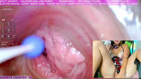 marybrook1 @ stripchat on 20250727