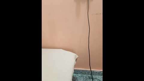 shalu_g @ stripchat on 20250727