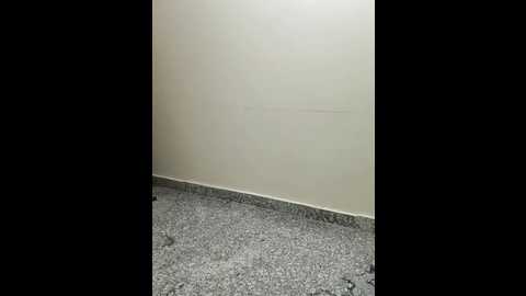 shalu_g @ stripchat on 20250727