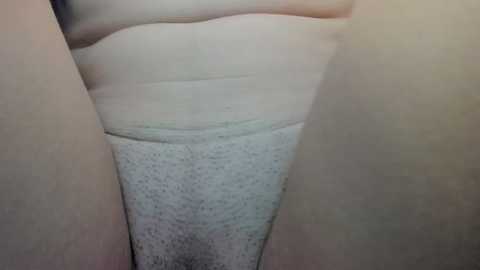 courtney_luv @ stripchat on 20250728