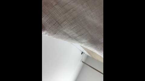 eveangelll @ stripchat on 20250728