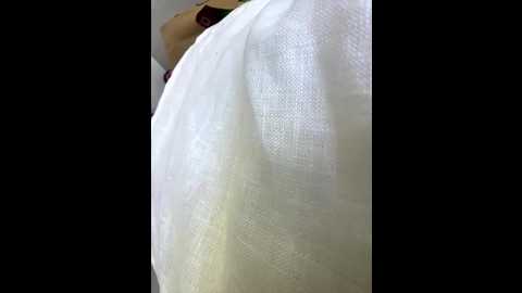 eveangelll @ stripchat on 20250728