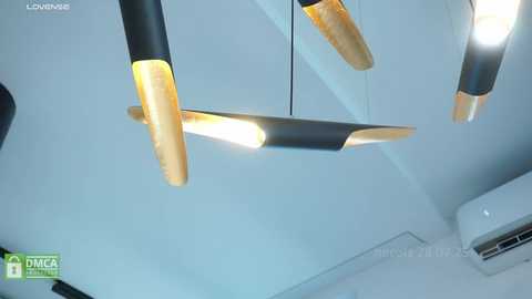 hecola @ stripchat on 20250728