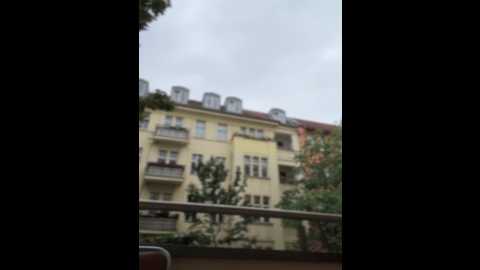 musae @ stripchat on 20250728