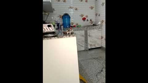 shalu_g @ stripchat on 20250729