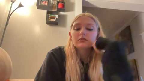 trixibby19 @ stripchat on 20250729