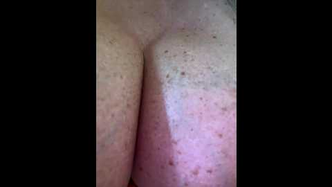 alimela @ stripchat on 20250730