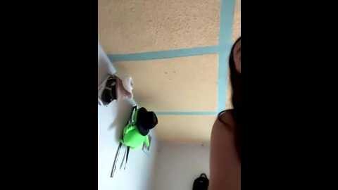 alix_rouses @ stripchat on 20250730