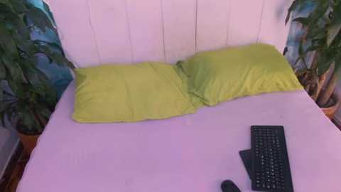 triana_crimson @ stripchat on 20250730