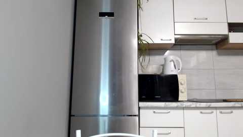 sierrasky_ @ stripchat on 20250731