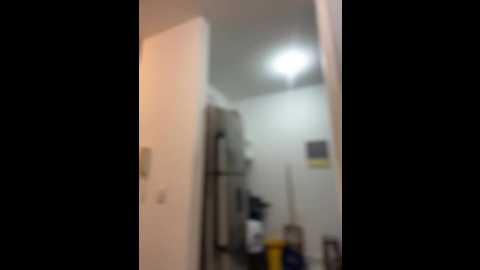 clarachanelricek @ stripchat on 20250801