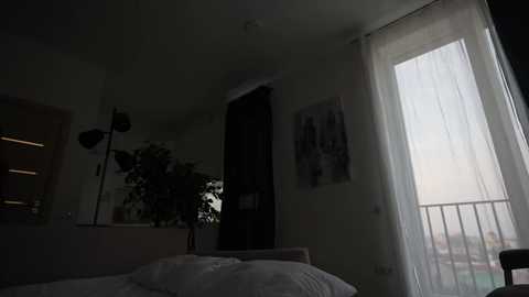 noctivelle