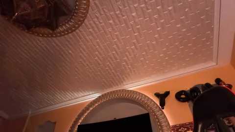 orla86 @ stripchat on 20250802