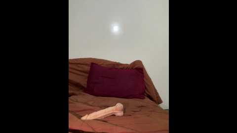 ahlam7578 @ stripchat on 20250803