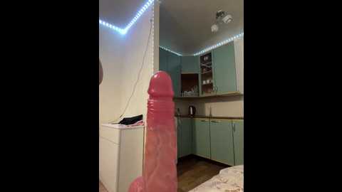 marylallka5 @ stripchat on 20250804