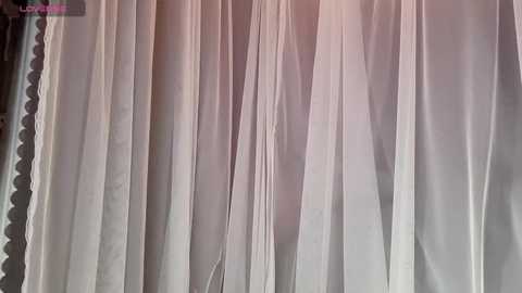 qqqq0808 @ stripchat on 20250804