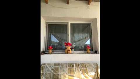 alimela @ stripchat on 20250805