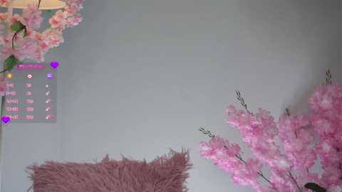 amilewis @ stripchat on 20250805