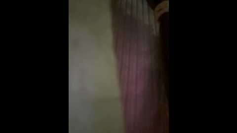 bambi_lu @ stripchat on 20250805