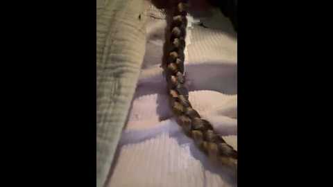 bambi_lu @ stripchat on 20250805