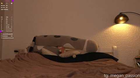 top_of_passion @ stripchat on 20250805