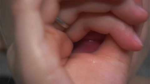 brefree @ stripchat on 20250806