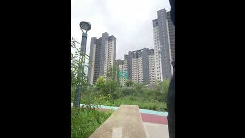 feifei_521