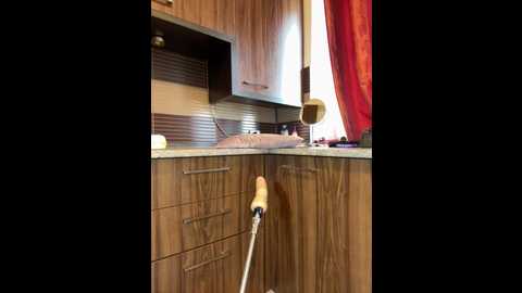 hotmomcheckk_ @ stripchat on 20250806