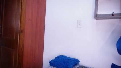 rousse_coup @ stripchat on 20250807