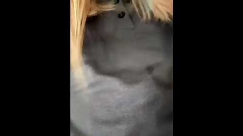 bellasecrett @ stripchat on 20250808
