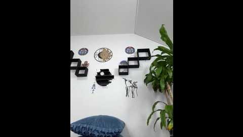 jamilaross @ stripchat on 20250808