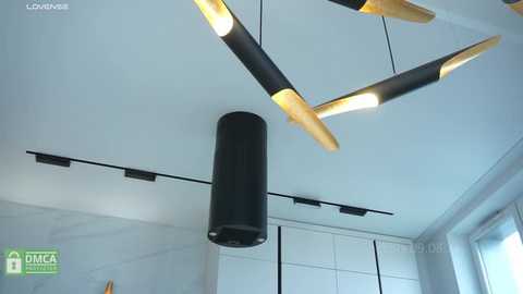 hecola @ stripchat on 20250809