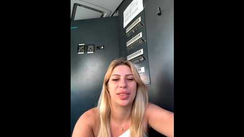 alicedream5