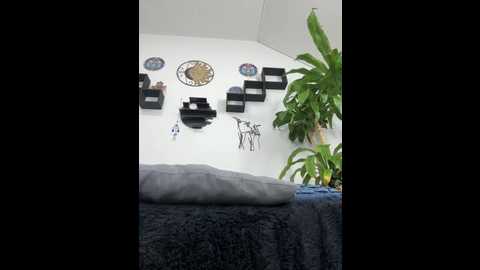 jamilaross @ stripchat on 20250810