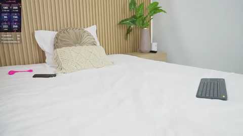 nikita_mike @ stripchat on 20250810