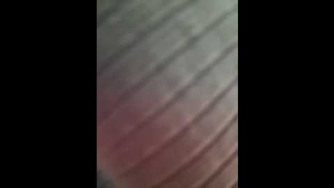 newlale @ stripchat on 20250811