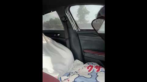 linh_2004 @ stripchat on 20250812