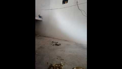 resmi_nair_cpl @ stripchat on 20250812