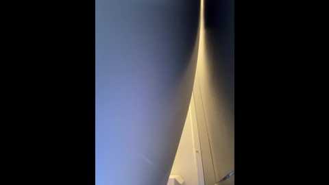 rinacat @ stripchat on 20250813