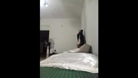 yenicitir @ stripchat on 20250813