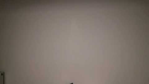 emilywi_