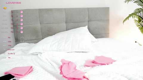 amoraeverett @ stripchat on 20250815