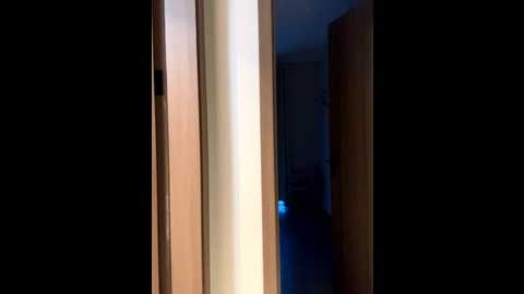 muxin_love @ stripchat on 20250816