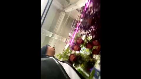 tisha_busty @ stripchat on 20250818