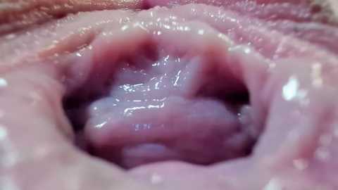 courtney_luv @ stripchat on 20250819